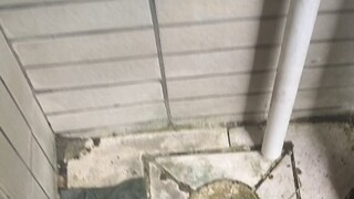 华南理工大学设计师！