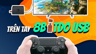 Hướng Dẫn Chơi Game Nintendo Switch Bằng Tay Cầm PS4, Xbox... | Trên tay 8bitdo USB