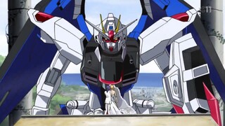 Gundam Seed Destiny - 14 OniOneAni