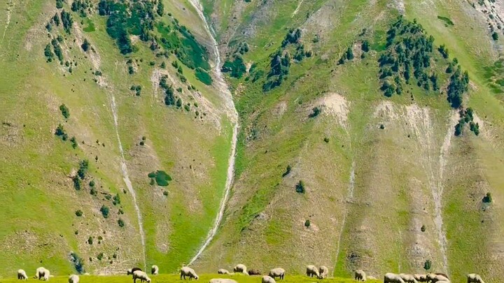 Kashmir view