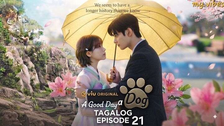21 [Tagalog] A Good Day to be a Dog