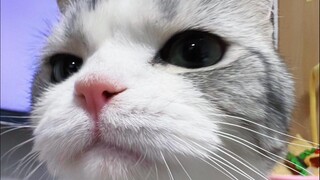 “撒 开 了 渔 网 唱 渔 歌”