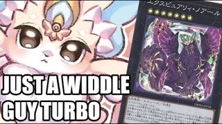 PURRELY - Ten Minute Testing