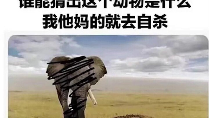 ⚡Komentar-komentar keren dari netizen (1108)⚡ Semoga bahagia setiap hari.