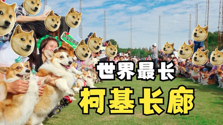 The Queen: Is This Heaven? A 200m Corgi Corridor