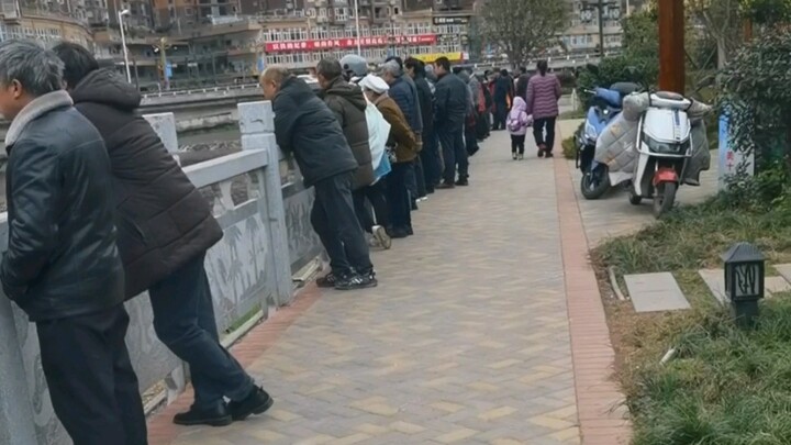 كنتُ أظن أن نجمة شهيرة على وشك الحضور، لكنني اكتشفتُ في النهاية أن ما كنتُ أراه هو الحلم نفسه.