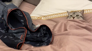 我可以让你老婆吃香喝辣，代价就是…