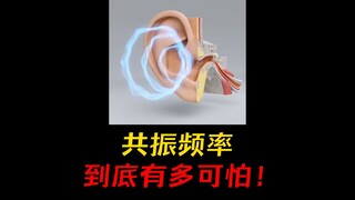 刷到就遇不到系列！