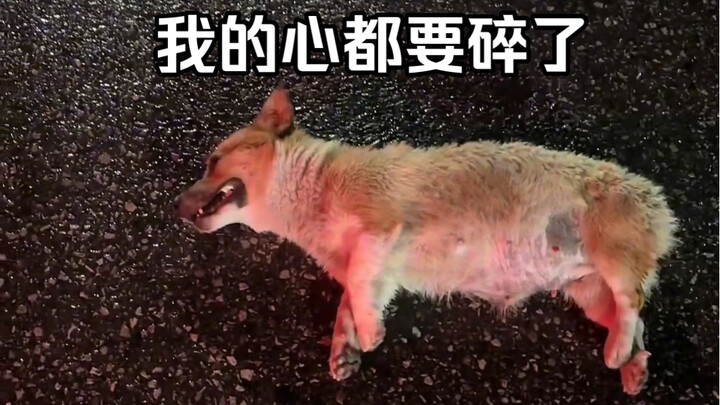 จะทนไม่สนใจคุณได้ยังไงกันนะ แม่มาถึงก่อนบลีช เทพมรณะ ซะอีก!
