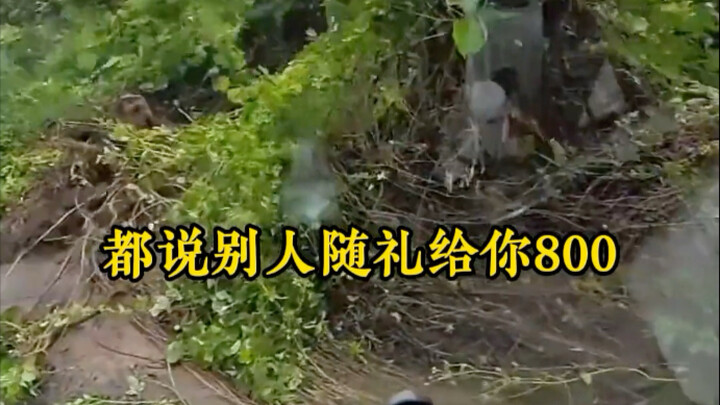 Why do successful high-ranking officials say, “If someone gives you 800 in gift money, never return 