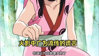 火影中广为流传的谎言，包中的啊家人们