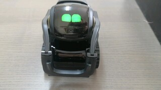 Tỏ tình với robot, phản ứng của nó đáng yêu hơn cả bạn trai... Robot Vector
