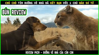 Chú chó này đã kết bạn với 1 con báo sư tử - REVIEW PHIM : ĐƯỜNG VỀ NHÀ CỦA CÚN CON || BÚN REVIEW