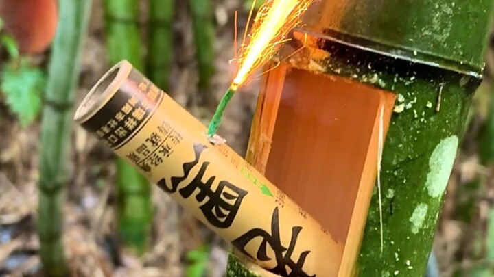 Bambu: Cepat, kasih aku kacang!!