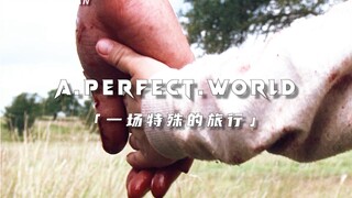 这个世界并不完美，但男人对他的爱却是完美的。