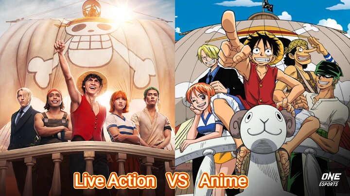 One Piece Character Real Life & Anime