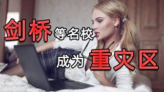 عملية احتيال على "السكر دادي"! ١٢ ألف امرأة أمريكية تقع ضحية لها!