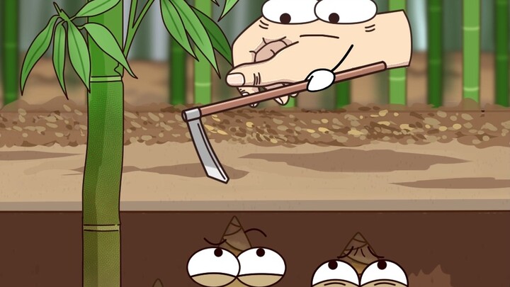 30 Desember, Mengenali Rebung Musim Dingin dari Daun