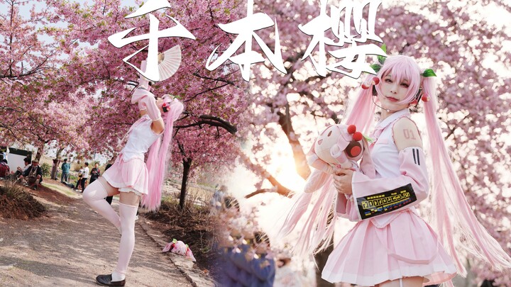 【咸猫】我去！11年前的神话曲❀千本樱❀！【全曲翻跳】
