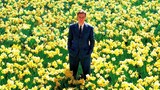 [Flowers in Movies] A Video That Makes You Feel Well