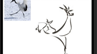 Sorry for the long wait. Today is the bird family