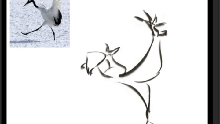 Sorry for the long wait. Today is the bird family