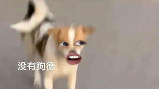 哈哈哈
