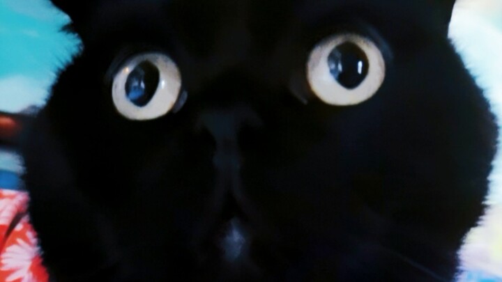 Apakah hari-hari baik Qian Suisu benar-benar sudah berakhir? Kenapa aku malah merasa baru saja dimul