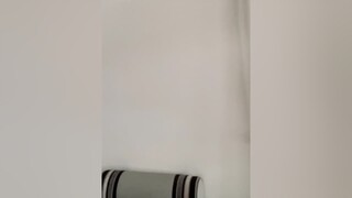 Trời mưa kệ mưa. Em ngủ kệ em mèotamthể meomeo meocute trờimưa ngủnướng