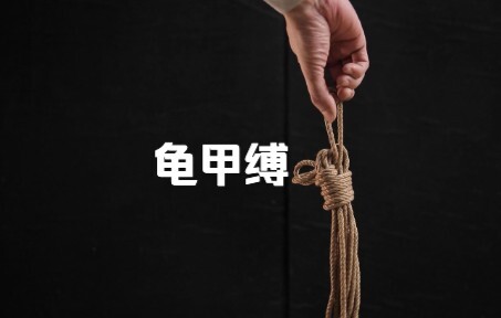 บทเรียนเกี่ยวกับ*งเต่า