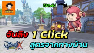 จับลิง1Click ด้วยสูตรจากทางบ้าน | Ragnarok x next generation