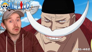Whitebeard Arrives At Marineford | Ace's Flashback | One Piece Reaction Episode 461-462