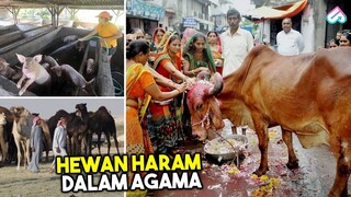 SERING DIKOMSUMSI TERNYATA HARAM! Inilah Hewan Haram Untuk Dimakan Menurut 6 Agama di Indonesia