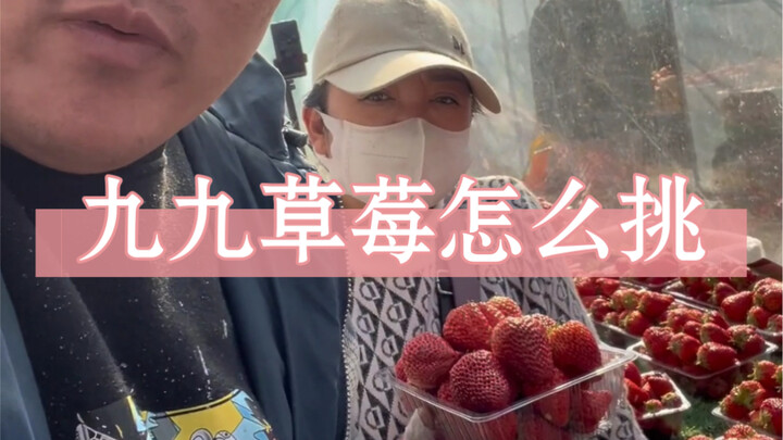 أخي البطاطس من سوق الصباح في الشمال الشرقي يكشف: طريقة اختيار فراولة داندونغ 99 في سوق الصباح! أيهما