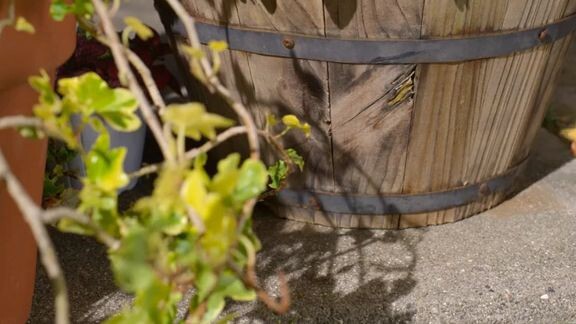 Cute Video૮₍˶Ó﹏Ò ⑅₎ა