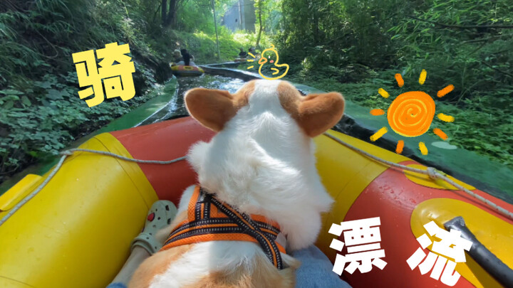Come on, let’s ride a dog and go rafting together!!!