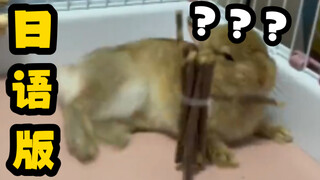 《 变 态 兔 兔 增 加 了 》