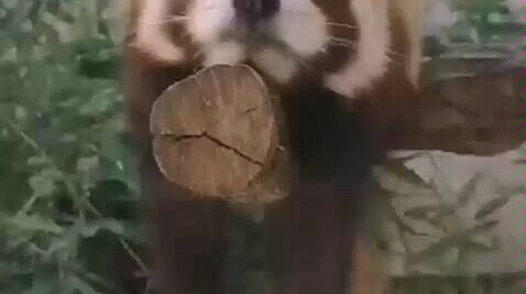 Này! Dậy mau đi