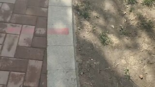 อย่าหยิบของที่ไม่ควรหยิบ