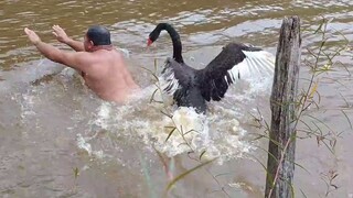 Strike the enemy halfway across