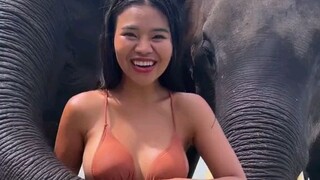she love huge elephants