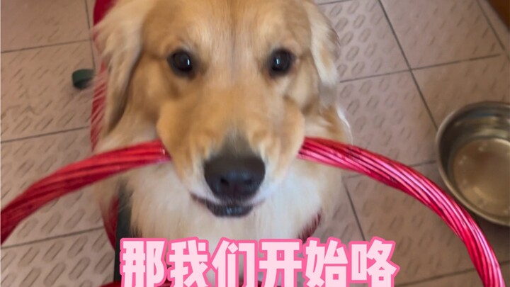 Happiness is having a healthy family, with loved ones still by your side and your little dog in good
