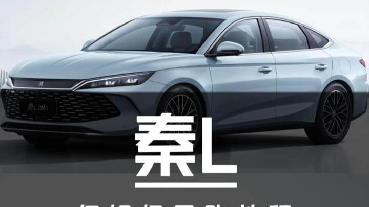 Qin L’s Ultimate Shopping Guide for First-Timers