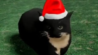 圣诞节限定臭猫