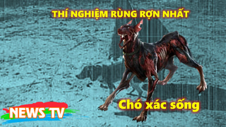 5 thí nghiệm rùng rợn nhất lịch sử loài người