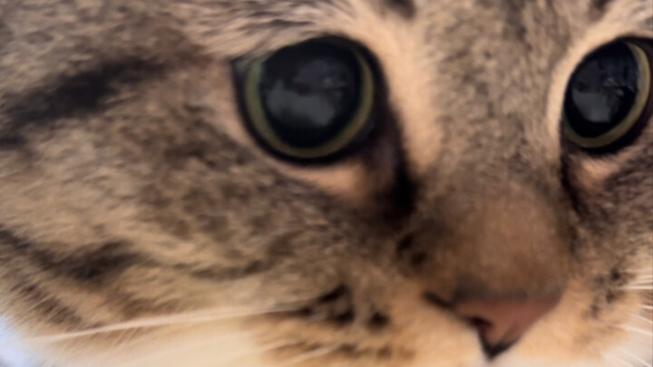 Mi, punya sedikit rasa batas.