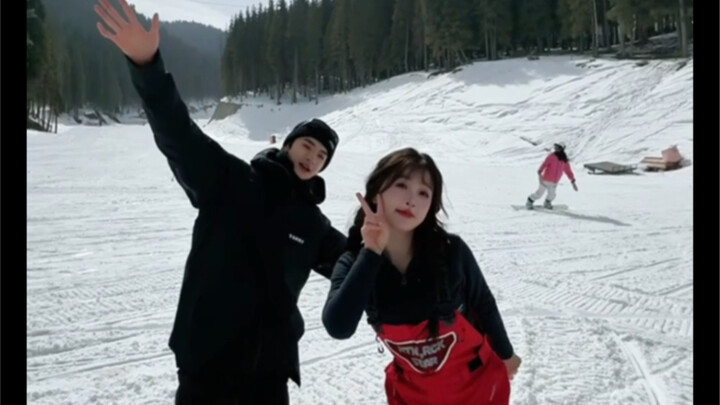 内娱明星们的Fate cha ，你更喜欢哪一款？