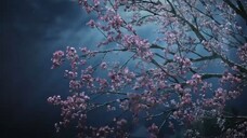 Blood River drachin sub indo ( eps 38 ) END