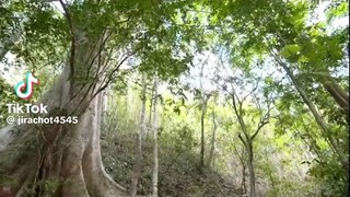 เสาร์5 18/6