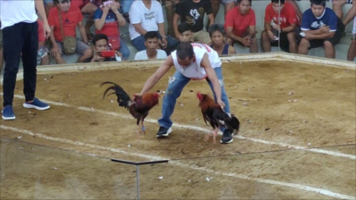 Biga vs Calamba (DEHADO CALAMBA )